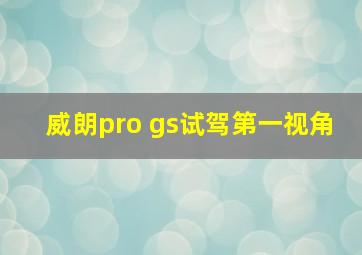 威朗pro gs试驾第一视角